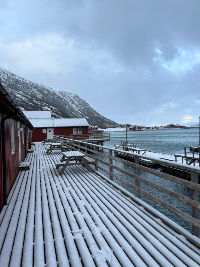 Lofotbua Villa Offersoya Exteriör bild