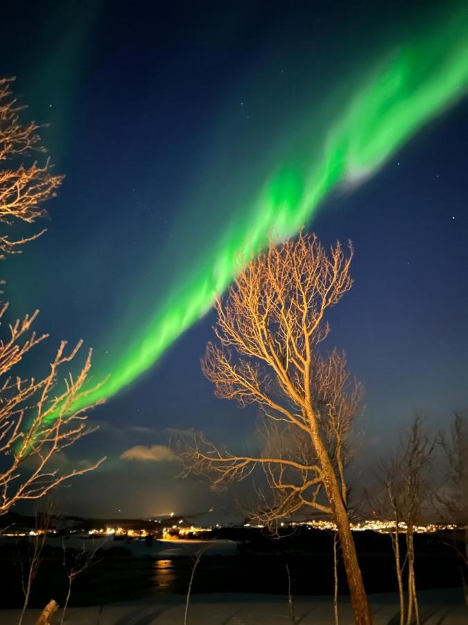 Lofotbua Villa Offersoya Exteriör bild