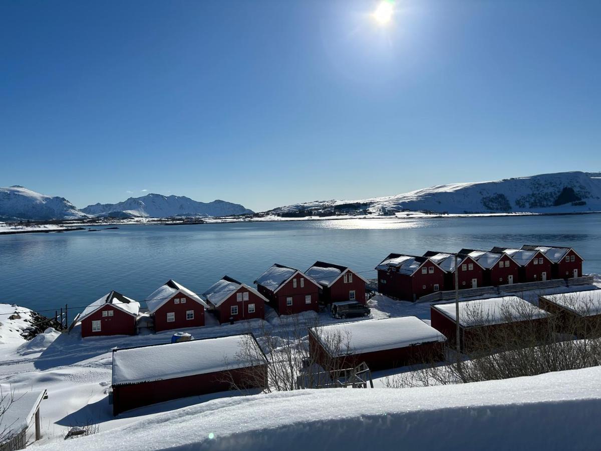 Lofotbua Villa Offersoya Exteriör bild