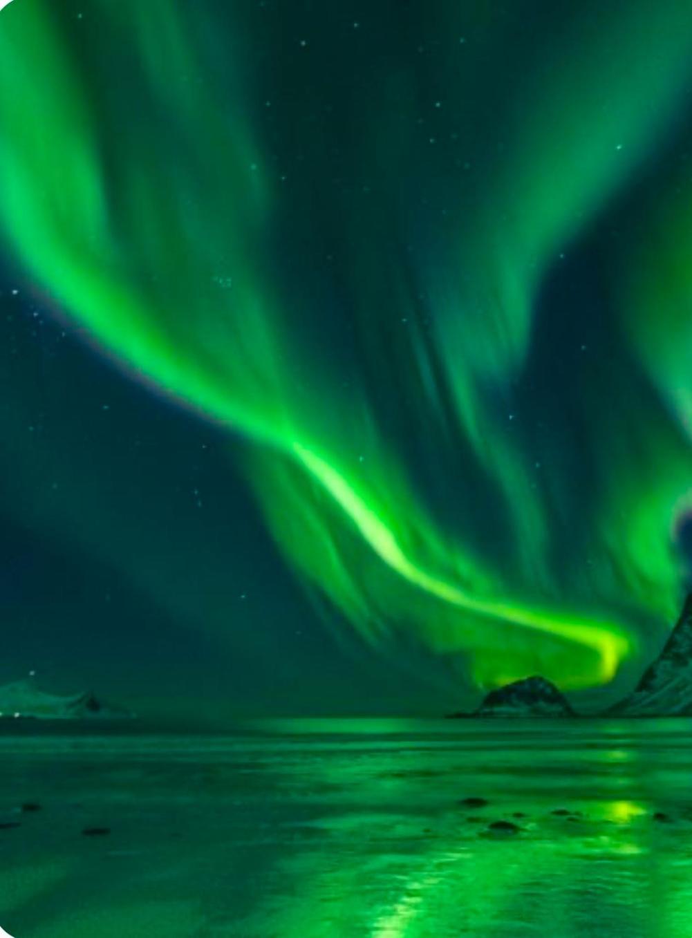 Lofotbua Villa Offersoya Exteriör bild